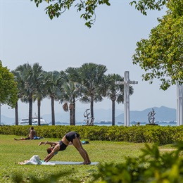 草坪提供广阔空间，让访客能进行各种户外活动，例如瑜伽。